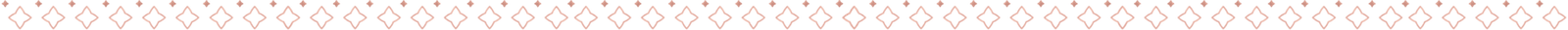 The Dreame Beauty Boutique Pattern